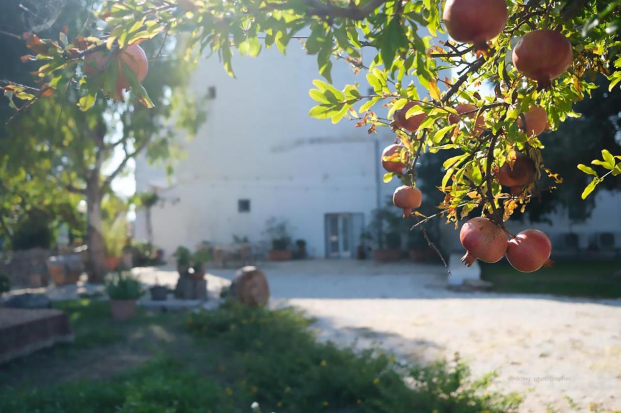 Masseria Giangrande - Rooms And Apartment Polignano a Mare Exterior foto