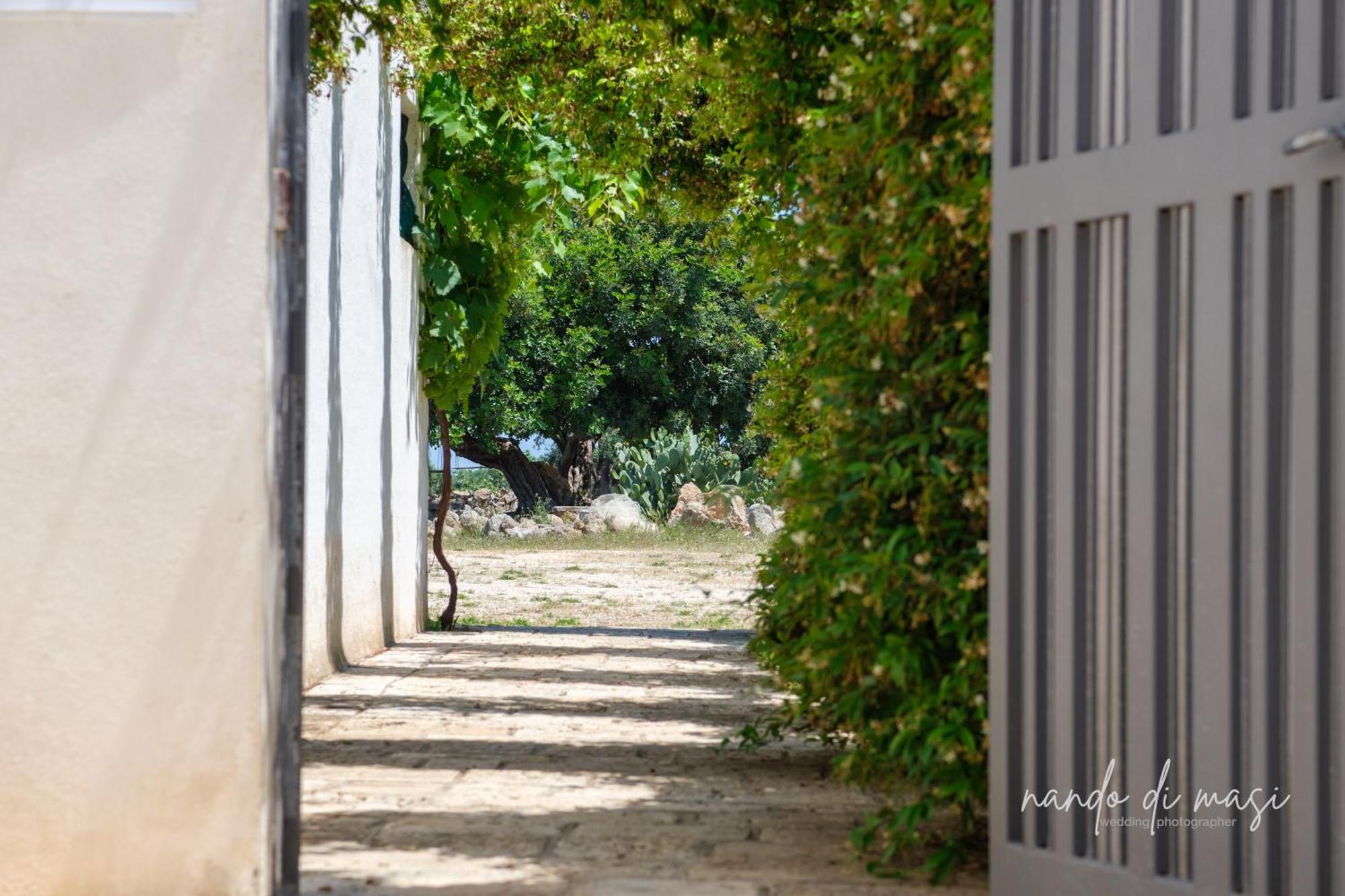 Masseria Giangrande - Rooms And Apartment Polignano a Mare Exterior foto