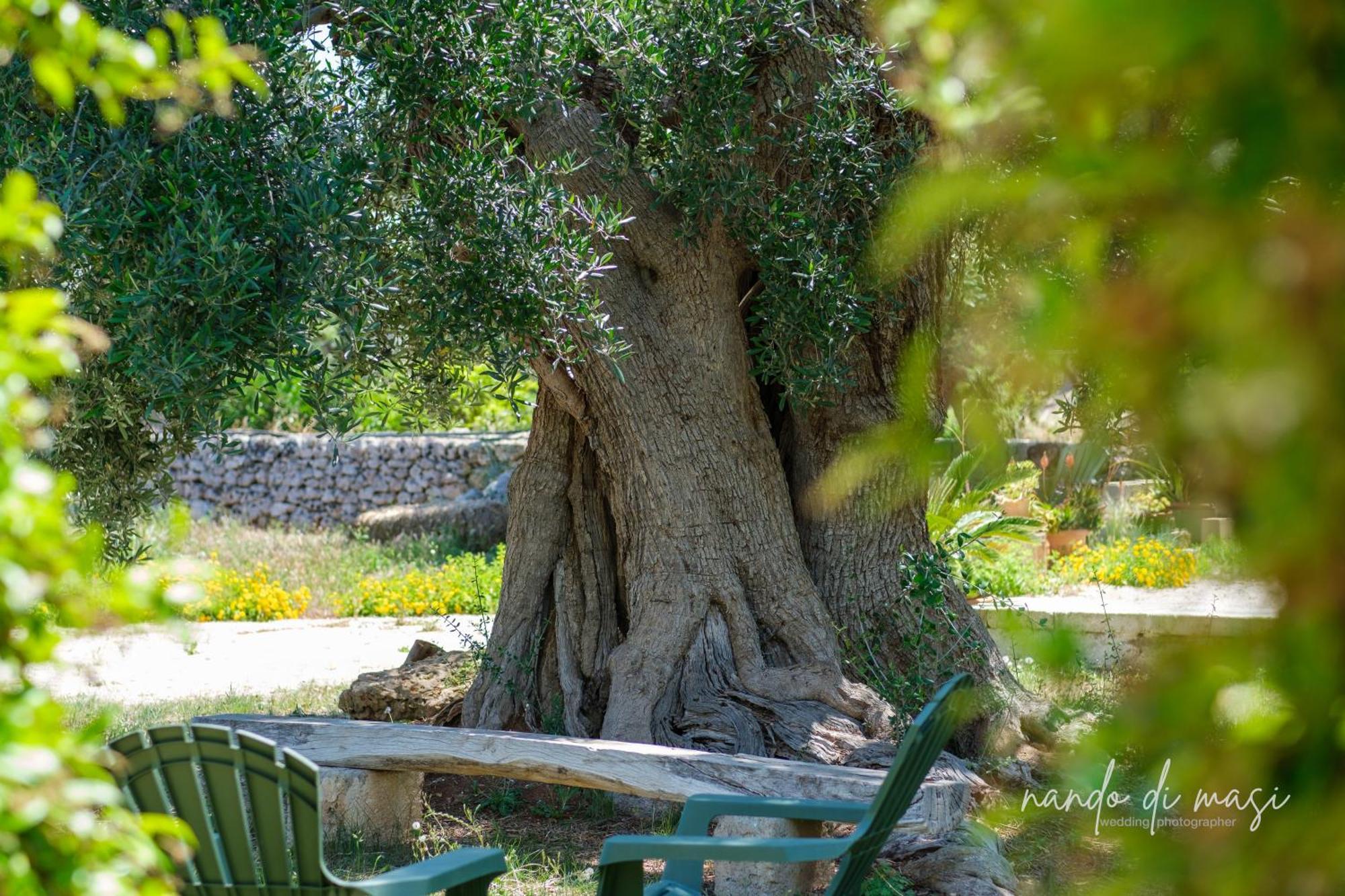 Masseria Giangrande - Rooms And Apartment Polignano a Mare Exterior foto