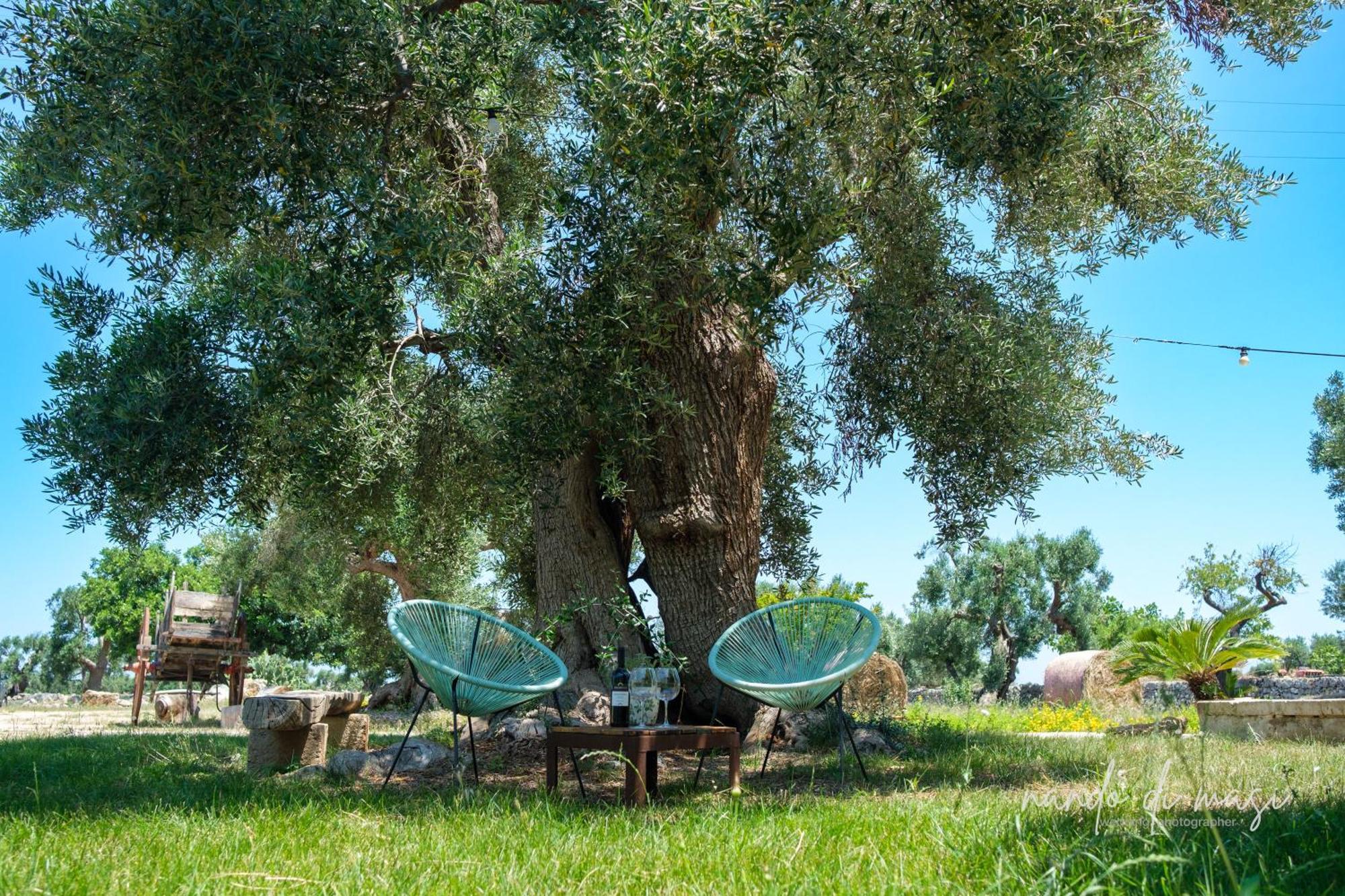 Masseria Giangrande - Rooms And Apartment Polignano a Mare Exterior foto